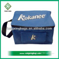 2016 wholesale Cooler Fitness Lunch Box Cooler Bag